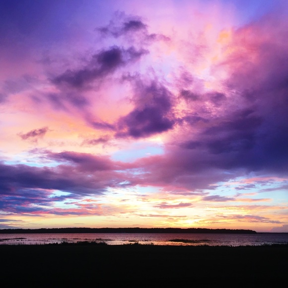 Meet your Posher, Liz - Picture 2 of 2